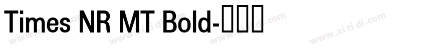 Times NR MT Bold字体转换